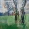 storm 60 x 80 acrylverf op doek
