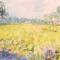 geel koolzaad landschap 120 x 40 olieverf op doek