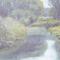 
De Dommel 80 x 40 olieverf op doek
