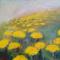 
paardenbloemen 50 x 40 olieverf op doek